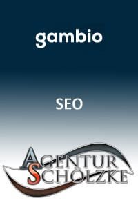 gambio SEO mach einfach mehr aus deinem Gambio Shop